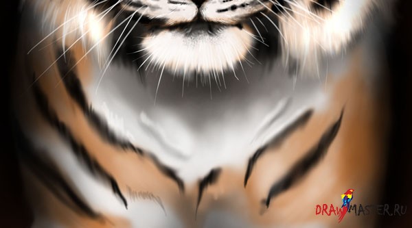 Рисуем тигра в фотошопе