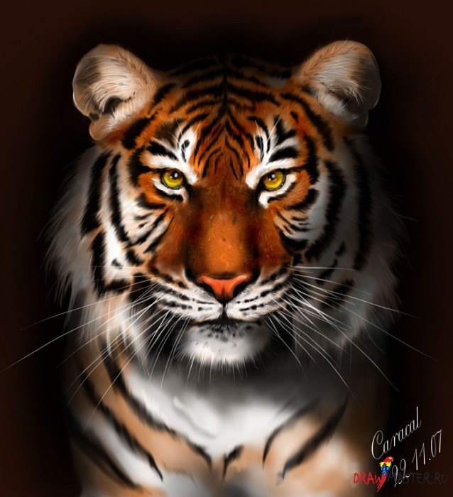 Рисуем тигра в фотошопе
