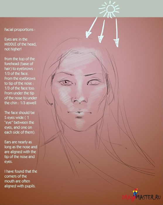 Как нарисовать реалистичный портрет в жанре иллюстрации без референсов или рисуем Нахагумори