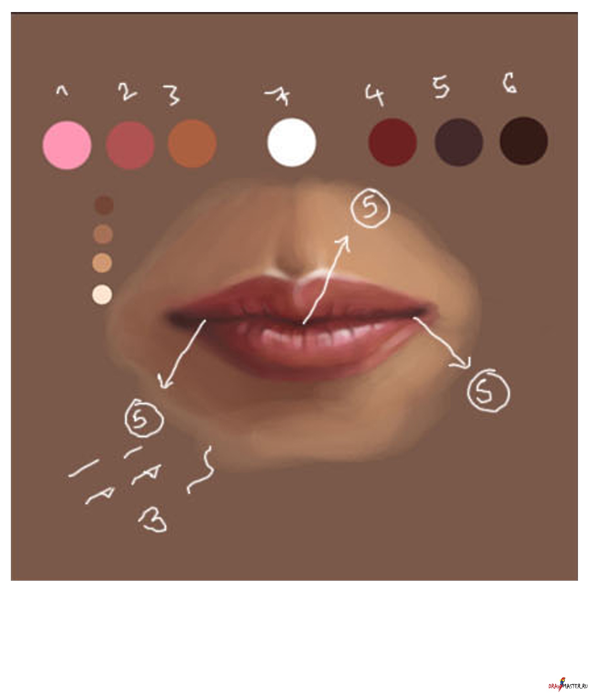 Палитра цветов губ для рисования