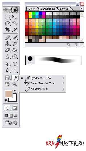      Adobe Photoshop:  