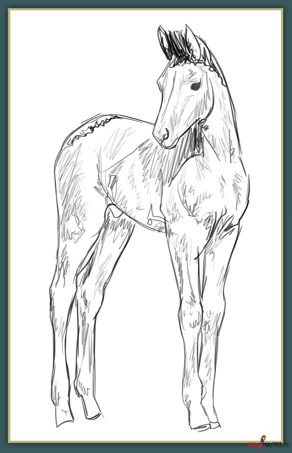 Рисунки лошадей карандашом. КАК НАРИСОВАТЬ ЛОШАДЬ поэтапно